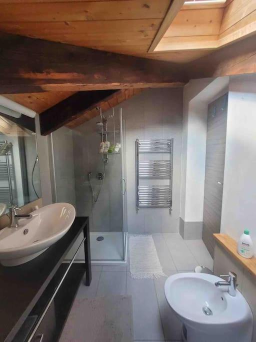 Il Terrazzino Liberty Apartment Turin